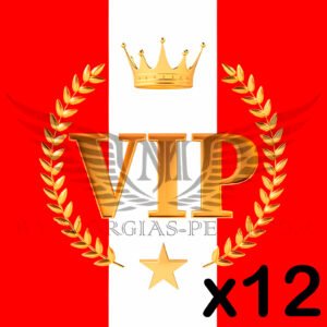 MEMBRESÍA VIP x12 meses + 3 de regalo