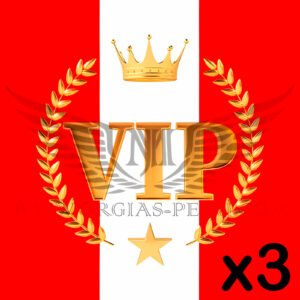 MEMBRESÍA VIP x3 meses